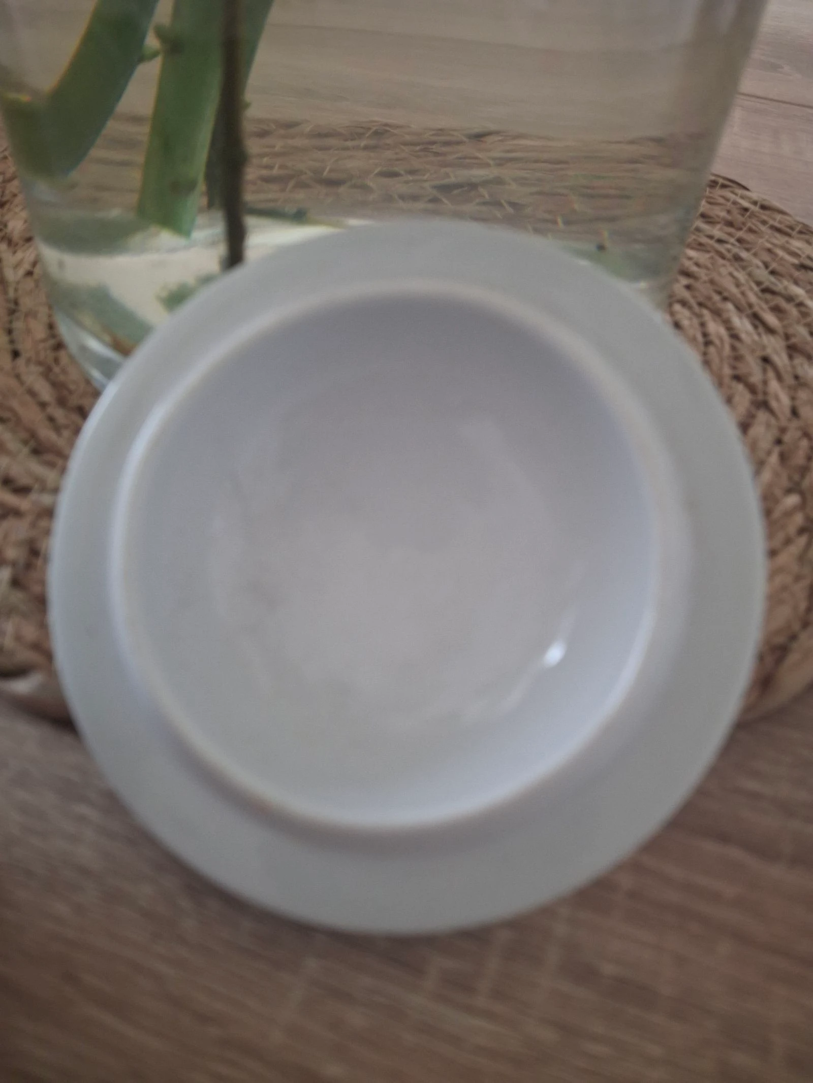 Stunning Miniature Soup Bowl Italian Porcelain Spice Pot Botanical Pattern – photo 13